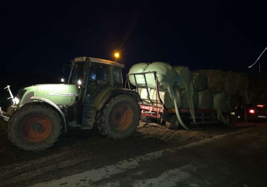 FOTO: USTUPLJENA FOTOGRAFIJA