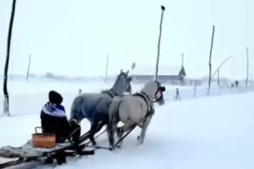 (VIDEO) Kao u Zvonkovoj pjesmi: Snijeg i KONJSKE ZAPREGE stvaraju bajkovit prizor u selu Ogar