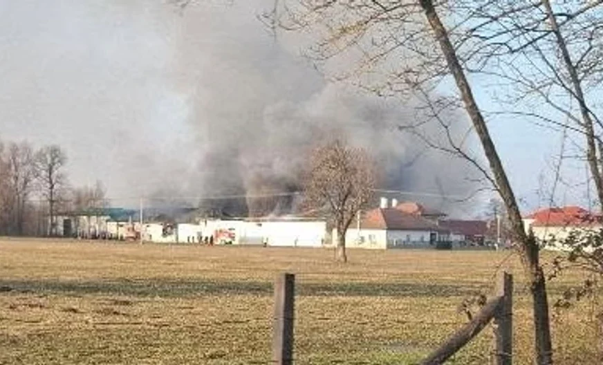požar u fabrici kiselog kupusa