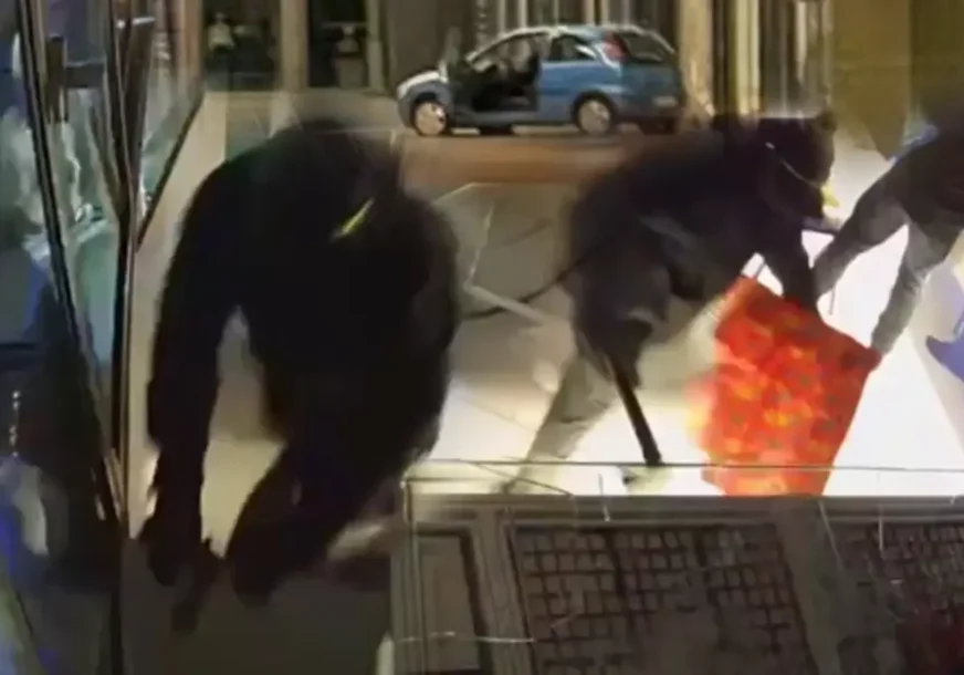 (VIDEO) SPEKTAKULARNA PLJAČKA PINK PANTERA Za 2 minuta ukrali nakit vrijedan MILION EVRA