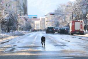 pripreme za dan republike, policija, 9.januar