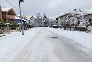 FOTO: ŽELJKA KNEŽEVIĆ/RINGIER