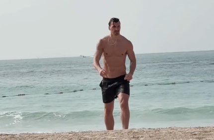 zlatan ibrahimović