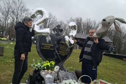  Goran Karanović 