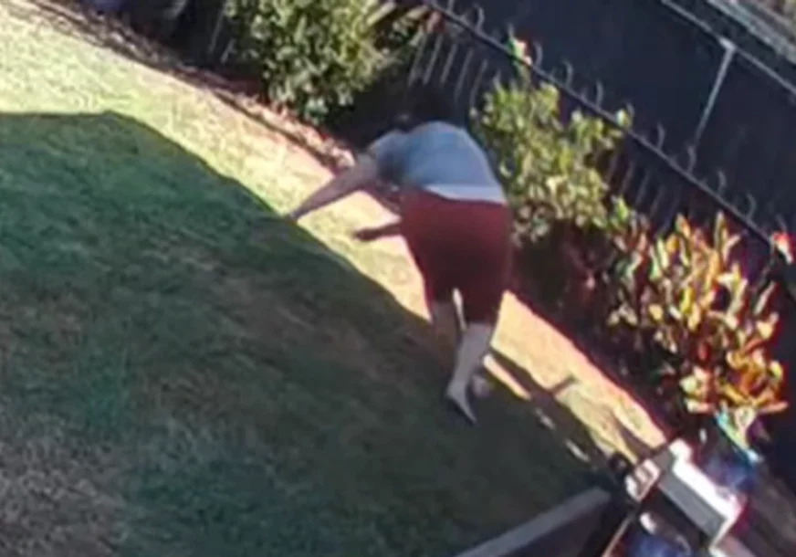 (VIDEO) Snimak iz Australije ledi krv u žilama: Bosa šetala po dvorištu, a onda je iz rupe izletjela ZMIJA OTROVNICA i omotala joj se oko noge