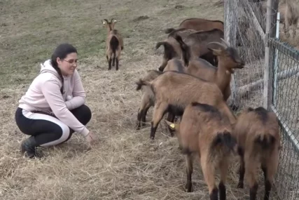 (VIDEO) Dok vršnjaci bježe u grad, Jovana ostaje: Mlada kozarica čuva tradiciju i PROIZVODI DOMAĆE MLIJEKO i sir