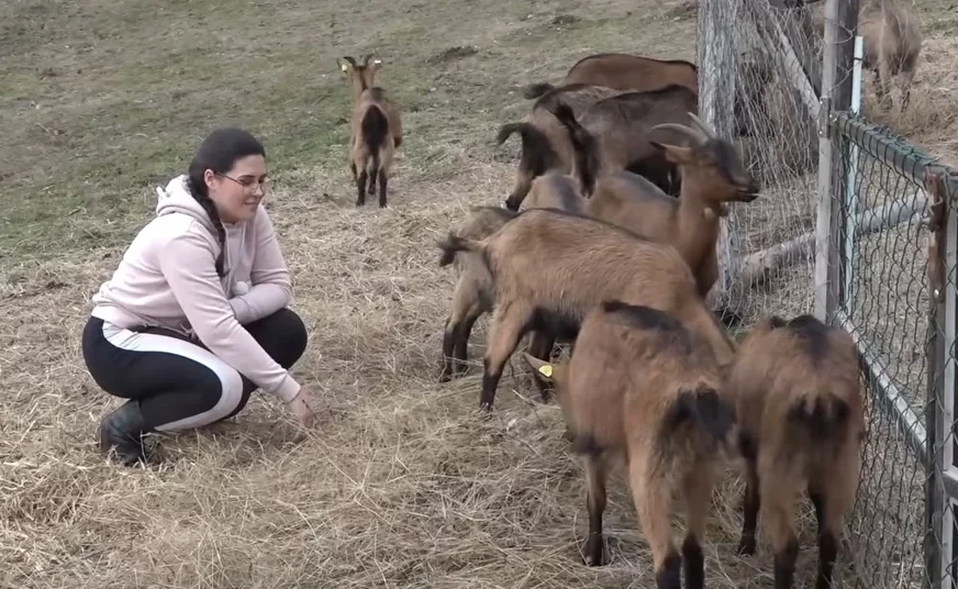 (VIDEO) Dok vršnjaci bježe u grad, Jovana ostaje: Mlada kozarica čuva tradiciju i PROIZVODI DOMAĆE MLIJEKO i sir