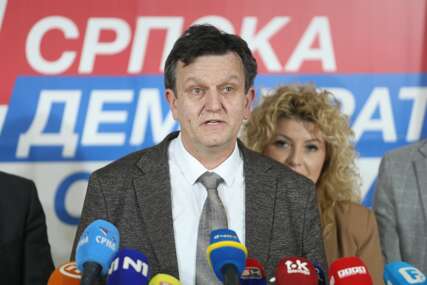 "SDS ima pravo PRVOG IZBORA" Blanuša poslao SNAŽNU PORUKU kolegama iz opozicije