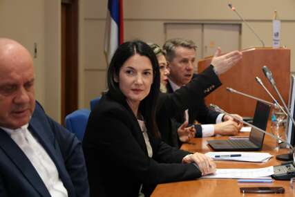 (FOTO) "Za pobjedu je ključan zajednički nastup" Trivićeva pozvala sve opozicione partije da sjednu za isti sto, pomenula i "VLADU U SJENI"