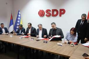 SDP