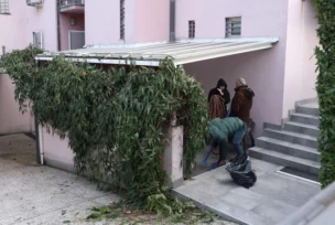 bačena bomba na kuću zdravka čolića