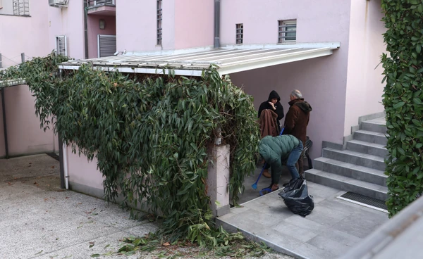 bačena bomba na kuću zdravka čolića