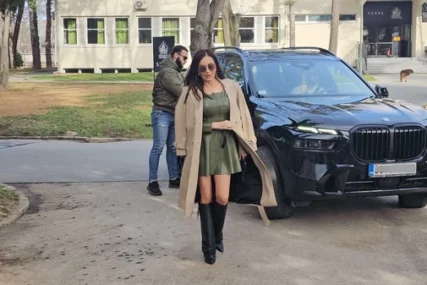 ceca ražnatović