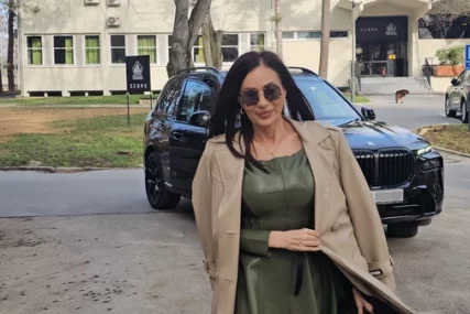 „Bilo je, to su Saša Vidić i još dvoje ljudi“ Ceca Ražnatović o izdaji prijatelja koju je doživjela