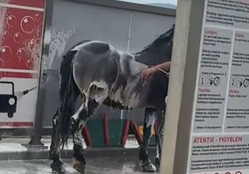 Oprao konja u autopraonici