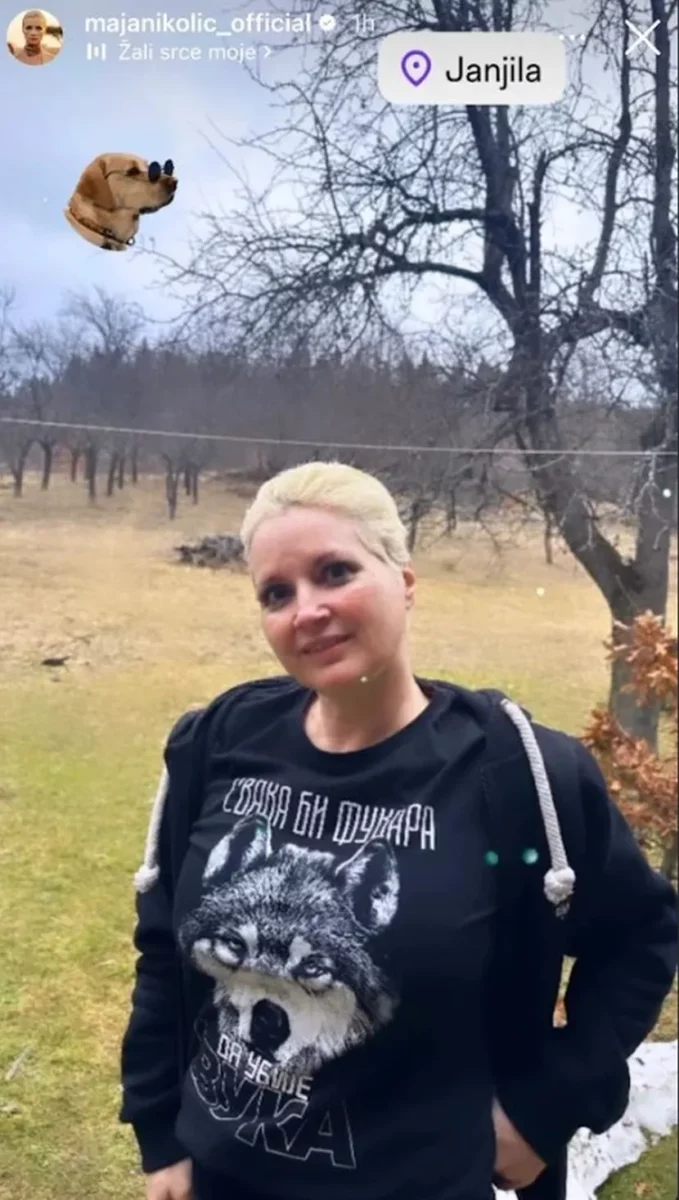 Maja Nikolić, objava