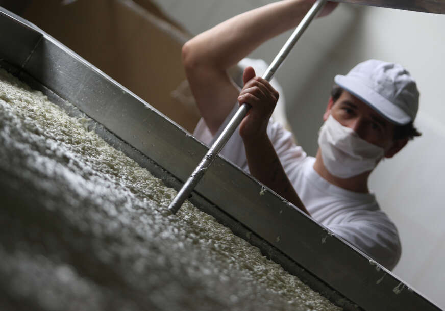 ilustarcija za mljekarsku industriju 