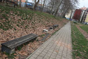 FOTO: MIOMIR JAKOVLJEVIĆ/RINGIER