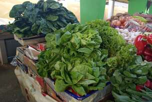 tržnica, povrće, salata