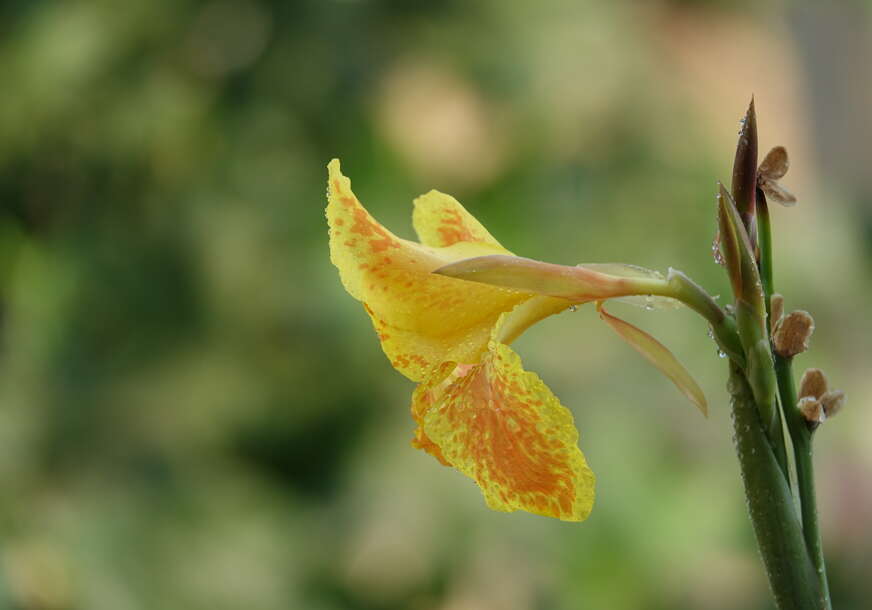 FOTO: FOTO:FREEPIK