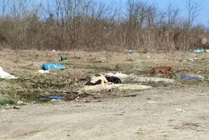 divlja deponija u srpcu 