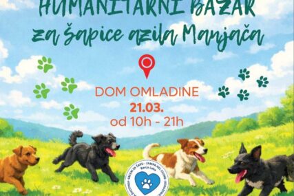 (FOTO) Jedan bazar, stotinu razloga za dobrotu: Posjetite Dom omladine ove subote i pomozite NAPUŠTENIM ŠAPICAMA