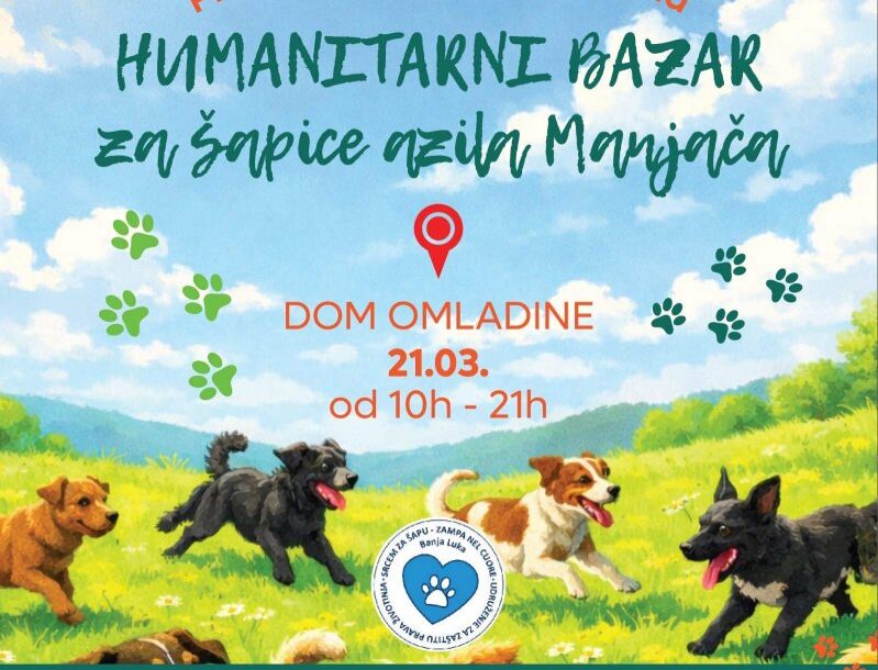 (FOTO) Jedan bazar, stotinu razloga za dobrotu: Posjetite Dom omladine ove subote i pomozite NAPUŠTENIM ŠAPICAMA