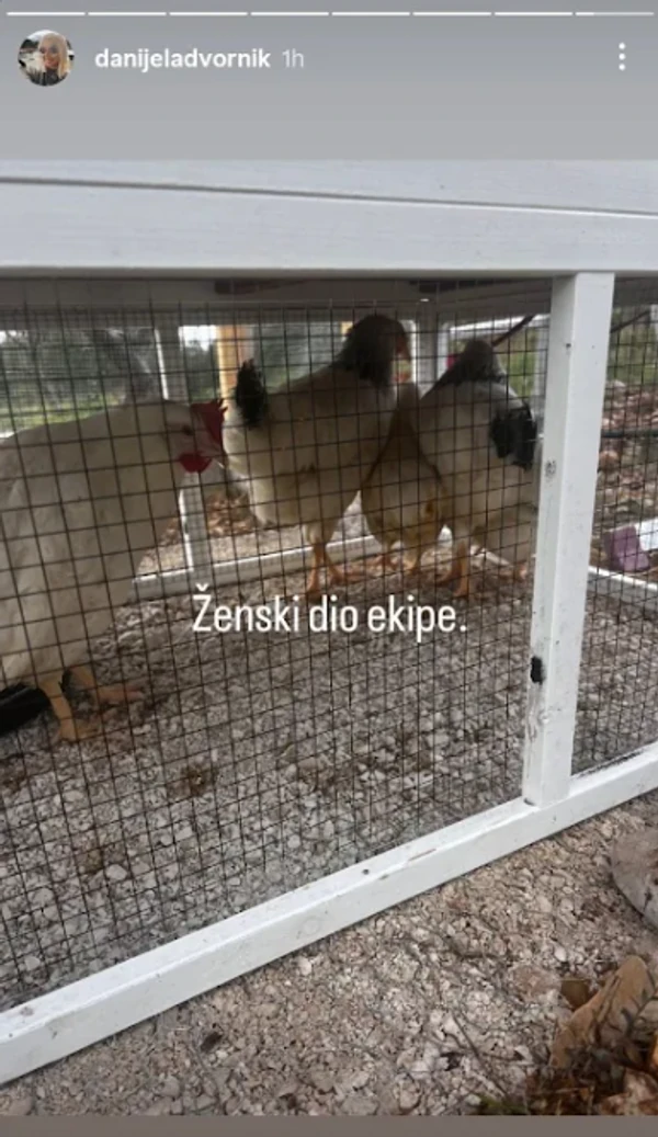 FOTO: DANIJELA DVORNIK / INSTAGRAM/SCREENSHOT