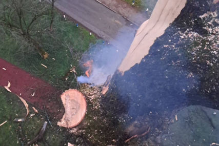 (VIDEO,FOTO) Grom udario u drvo: Zbog nevremena koje je juče pogodilo Banjaluku intervenisali vatrogasci