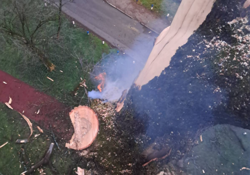 (VIDEO,FOTO) Grom udario u drvo: Zbog nevremena koje je juče pogodilo Banjaluku intervenisali vatrogasci