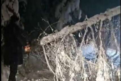 (VIDEO) Drama poslije Čolinog koncerta: Stablo zaustavilo autobus pun turista, Ćosićev saradnik spasio situaciju