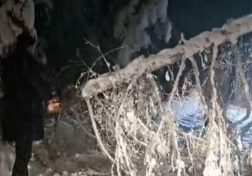 (VIDEO) Drama poslije Čolinog koncerta: Stablo zaustavilo autobus pun turista, Ćosićev saradnik spasio situaciju