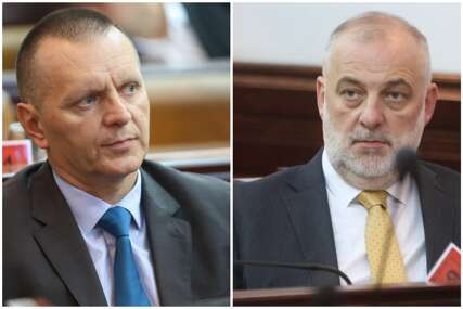 "Aleje strave i suvih brijestova" Lukač i Milanović zaratili zbog drvoreda u Banjaluci