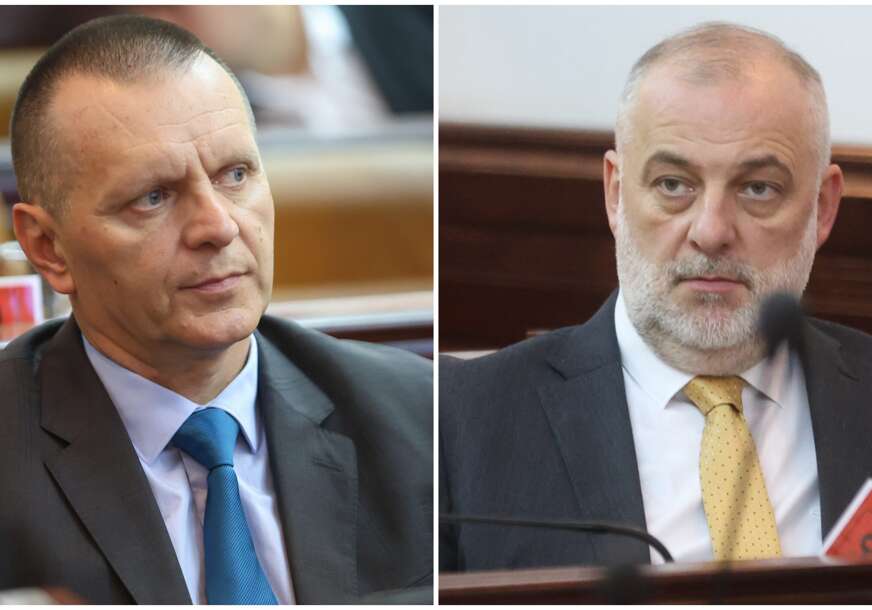 "Aleje strave i suvih brijestova" Lukač i Milanović zaratili zbog drvoreda u Banjaluci