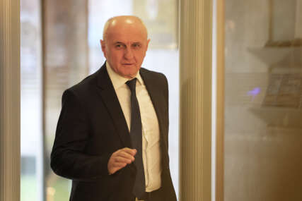 GUBITNIK DANA Petar Đokić
