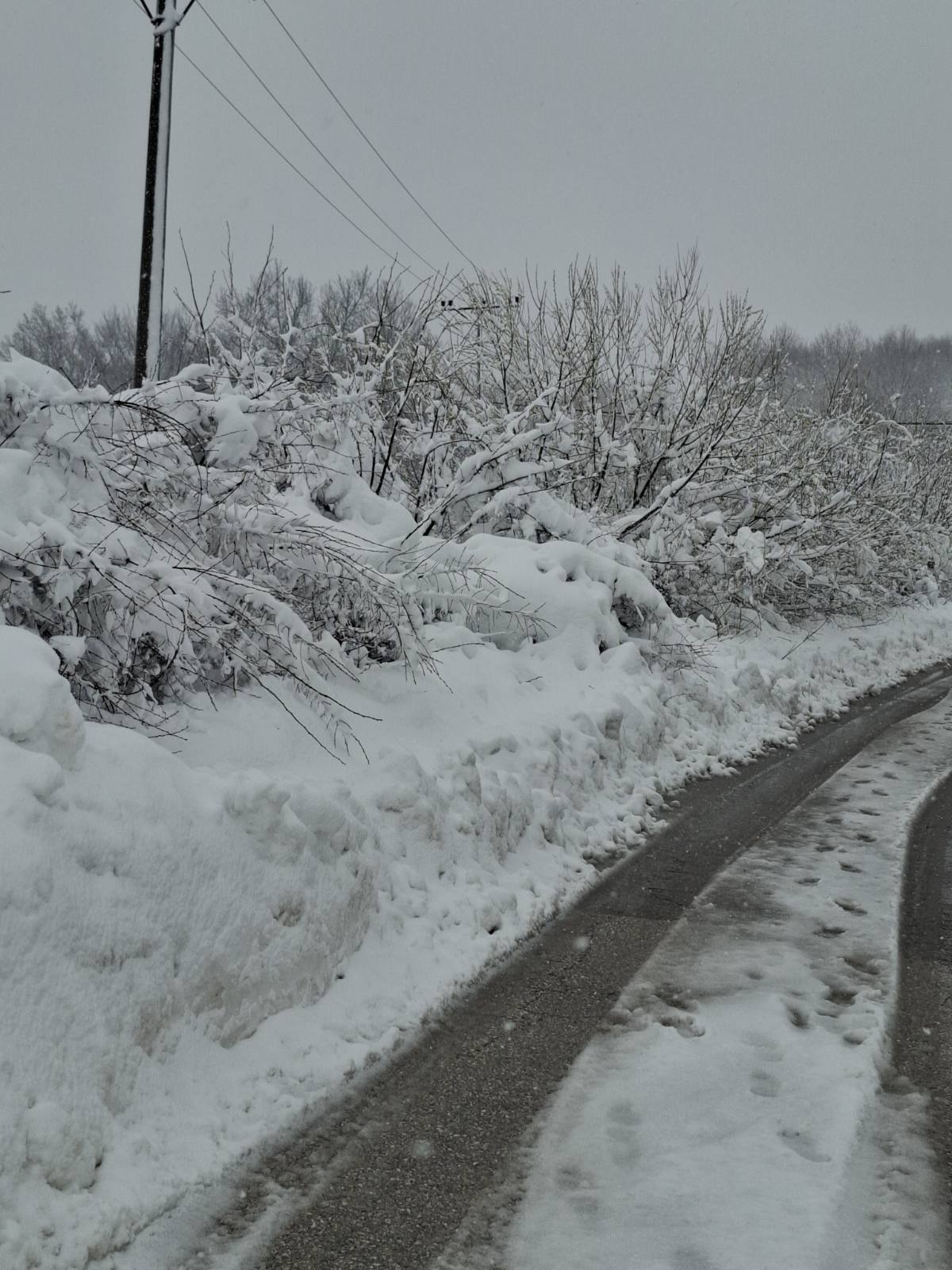 FOTO: USTUPLJENA FOTOGRAFIJA