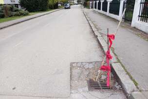 FOTO:  ŽELJKA KNEŽEVIĆ/RINGIER