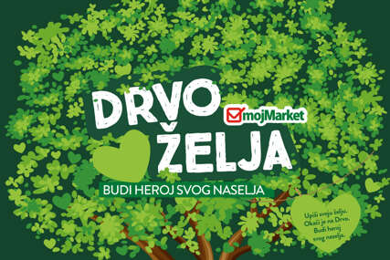 moj market