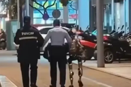 (VIDEO) UHAPŠEN ROBOT Uznemiravao ženu na ulici, policija odmah reagovala