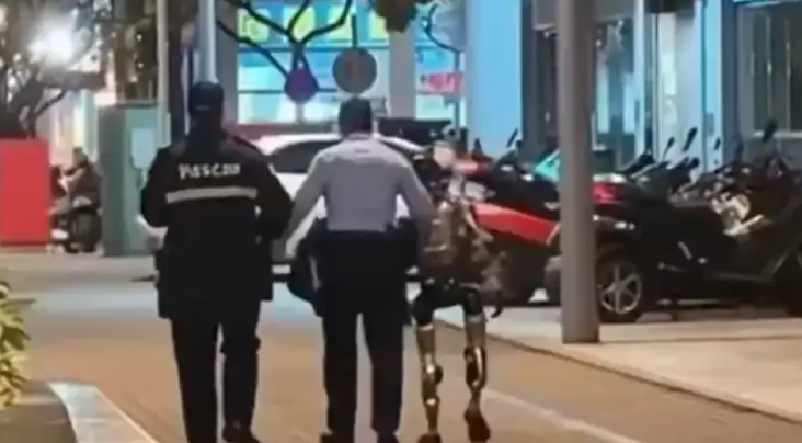 (VIDEO) UHAPŠEN ROBOT Uznemiravao ženu na ulici, policija odmah reagovala