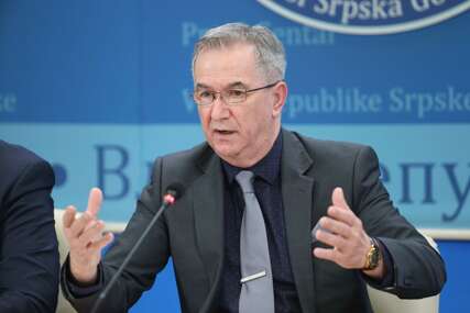 ned puhovac ministar u vladi rs