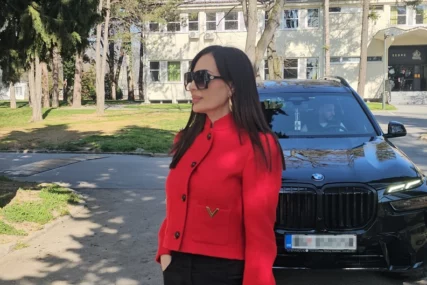 ceca ražnatović
