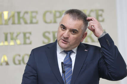 GUBITNIK DANA Savo Minić