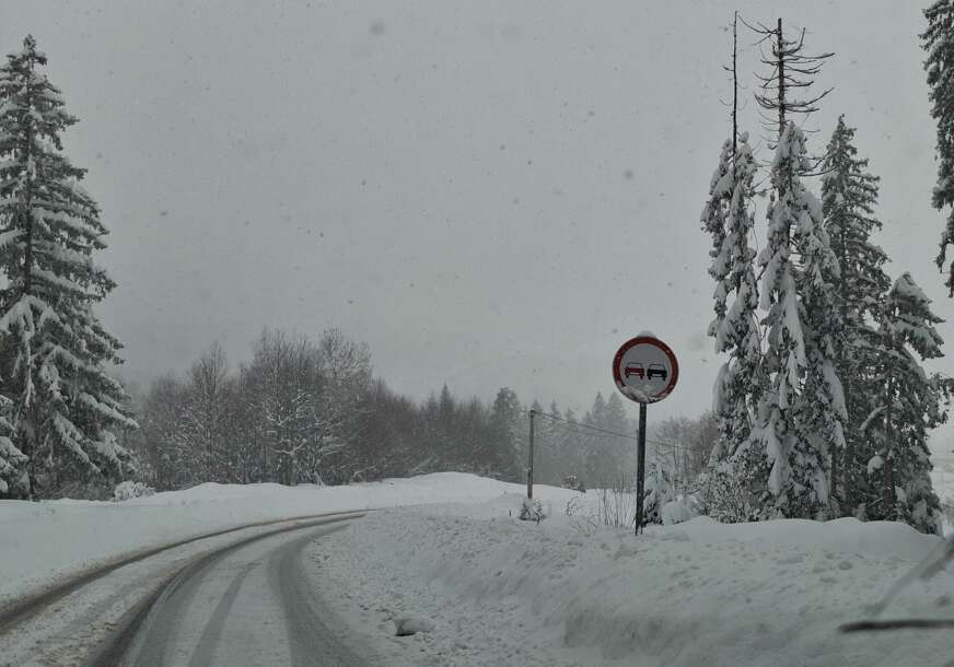 FOTO: MIOMIR JAKOVLJEVIĆ/RINGIER