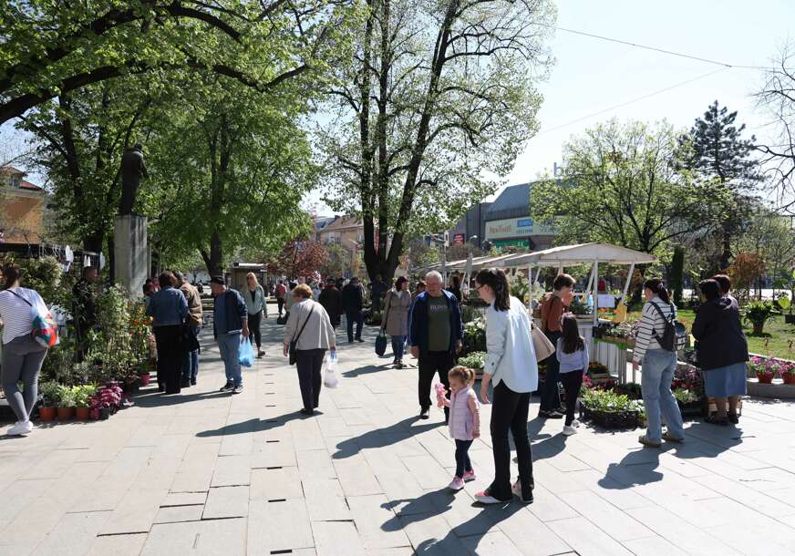 Festival cvijeća
