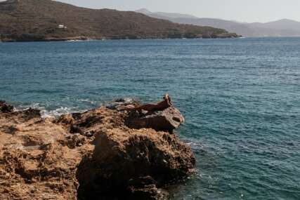 Cijene u Grčkoj rastu: Hrana i gorivo sve skuplji