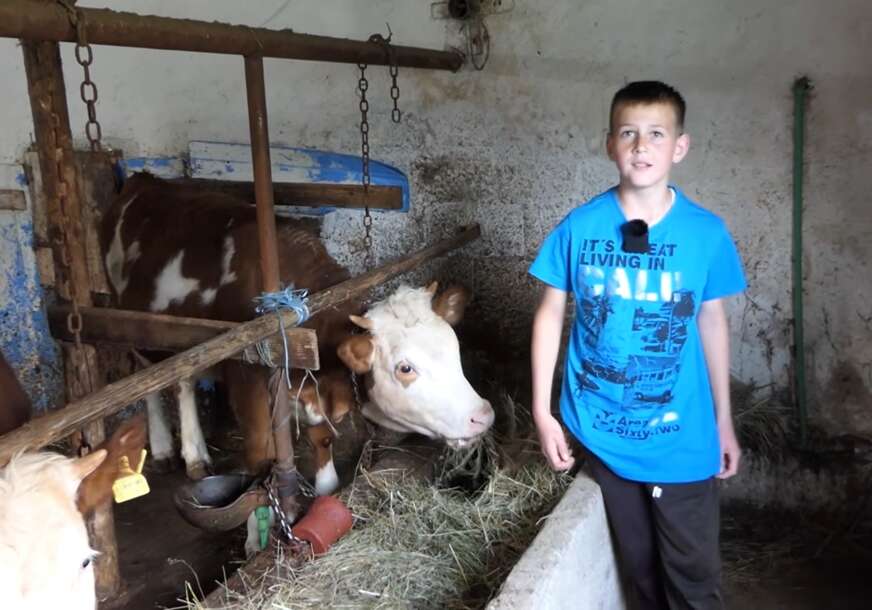 (VIDEO) "Pravo zadovoljstvo" Asim (11) umjesto telefona izabrao FARMU I STOKU, a za vršnjake koji ga IZAZIVAJU ima jasnu poruku