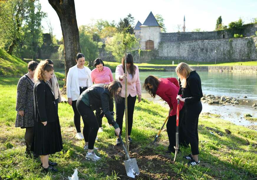 (FOTO) Povodom Dana grada: Forum žena SPS Banjaluka organizovao AKCIJU SADNJE DRVEĆA uz Vrbas