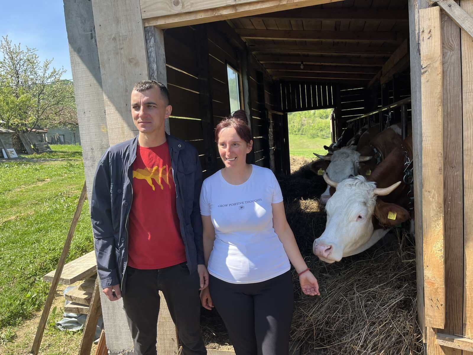 Farma krava umjesto karijere – izbror mladog magistra