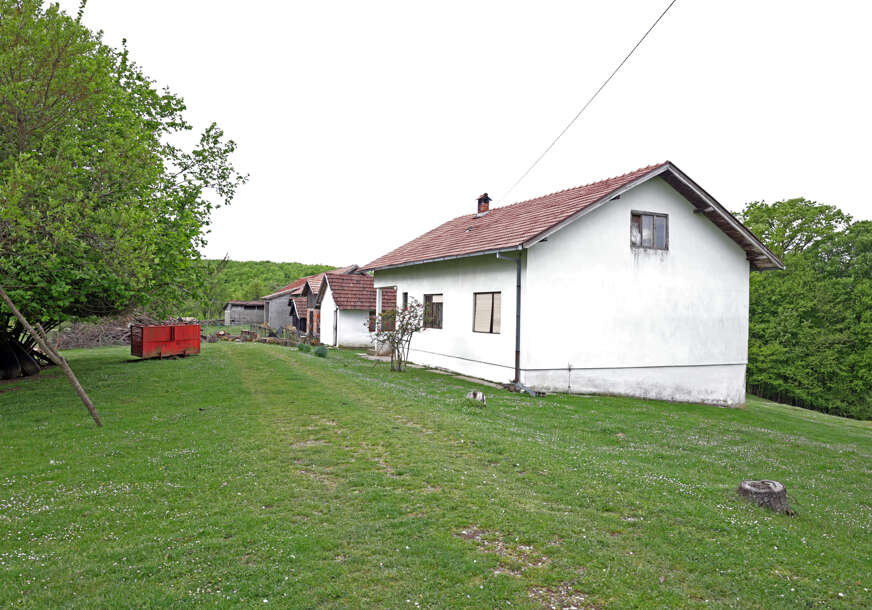 FOTO: NIKOLA SEKULIĆ/RINGIER